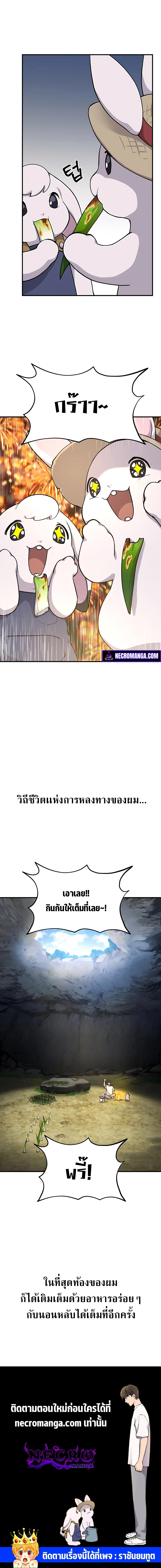 1527133b234b5ad354.jpeg