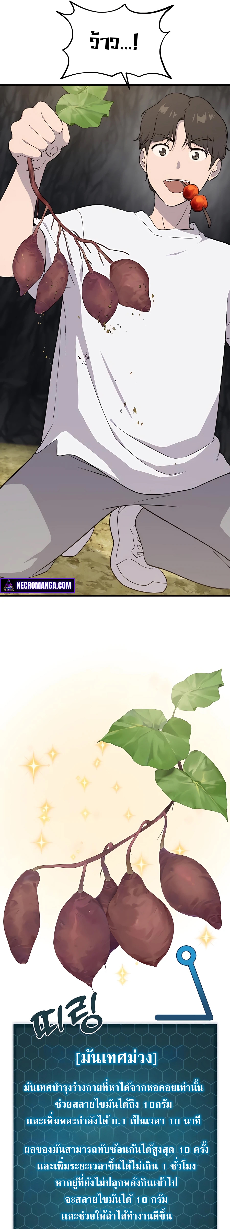 16c14261a81e3dd36e.jpeg