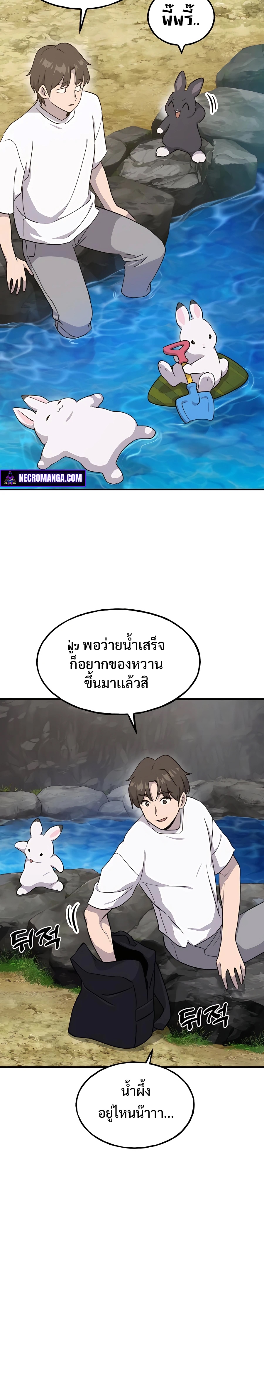 3130a4a3f26a63806c.jpeg