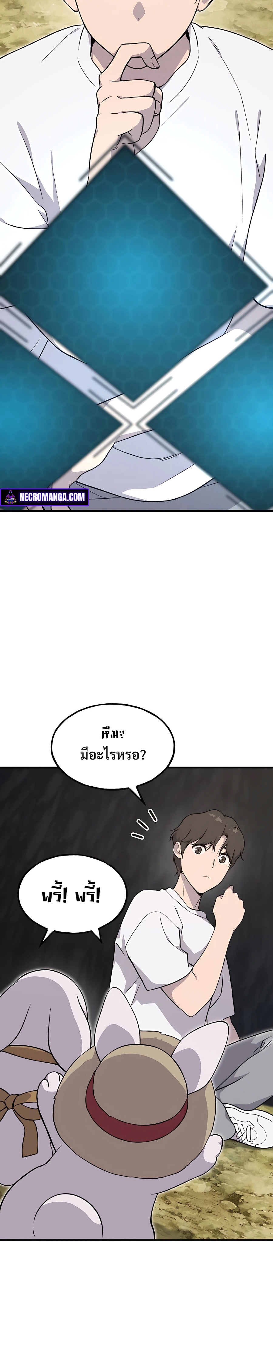 353095b99210cbbcb5.jpeg