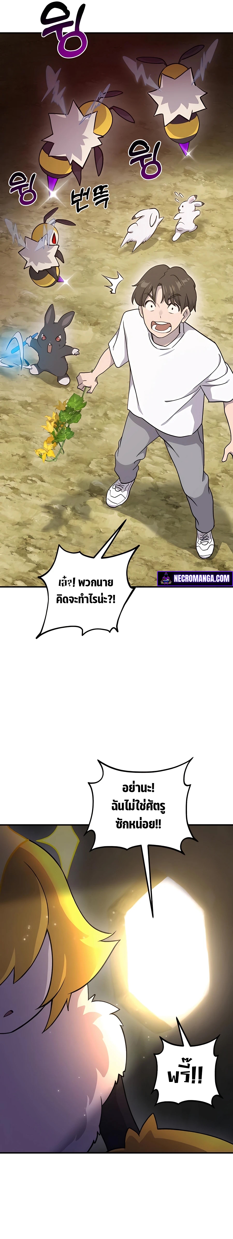 38ec33df287ed9a195.jpeg