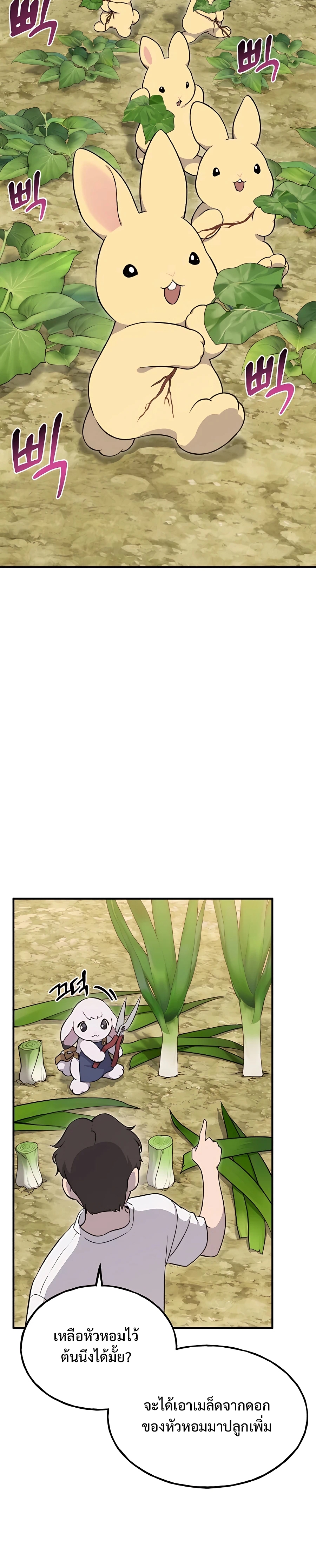 5505bfdba5351ec72.jpeg