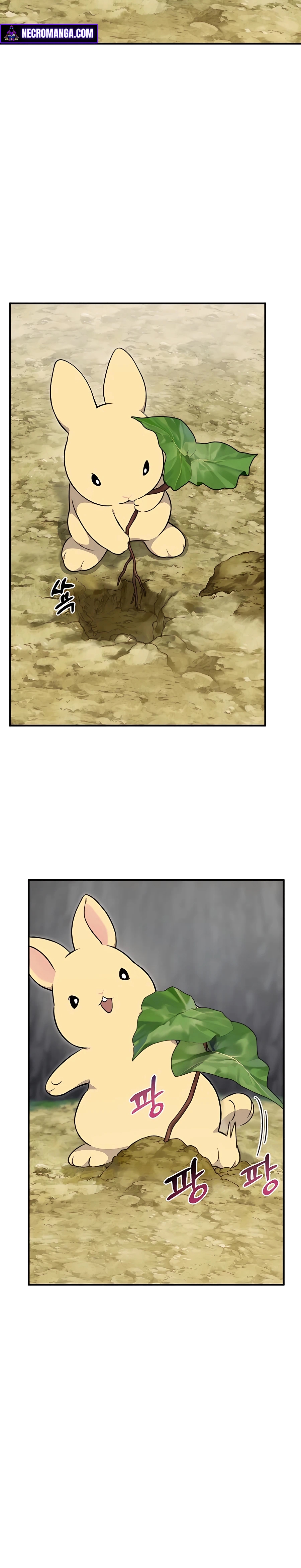 78005c10c2c910867.jpeg