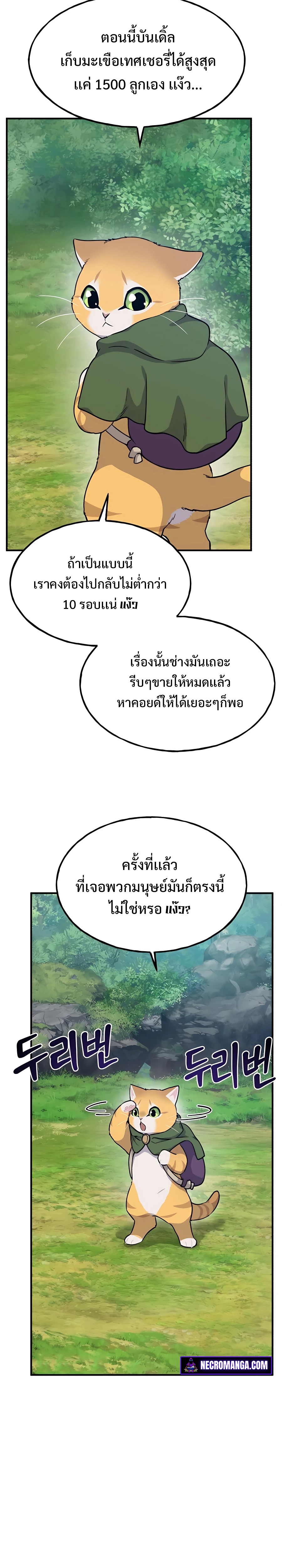 9a1f379d318a8c450.jpeg