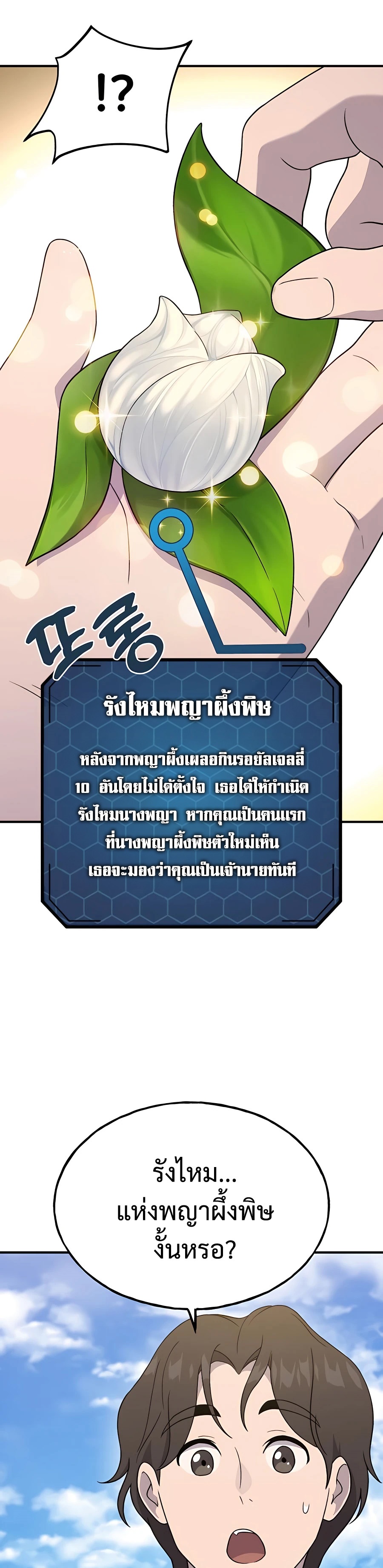 124c204db1f95ff7ce.jpeg