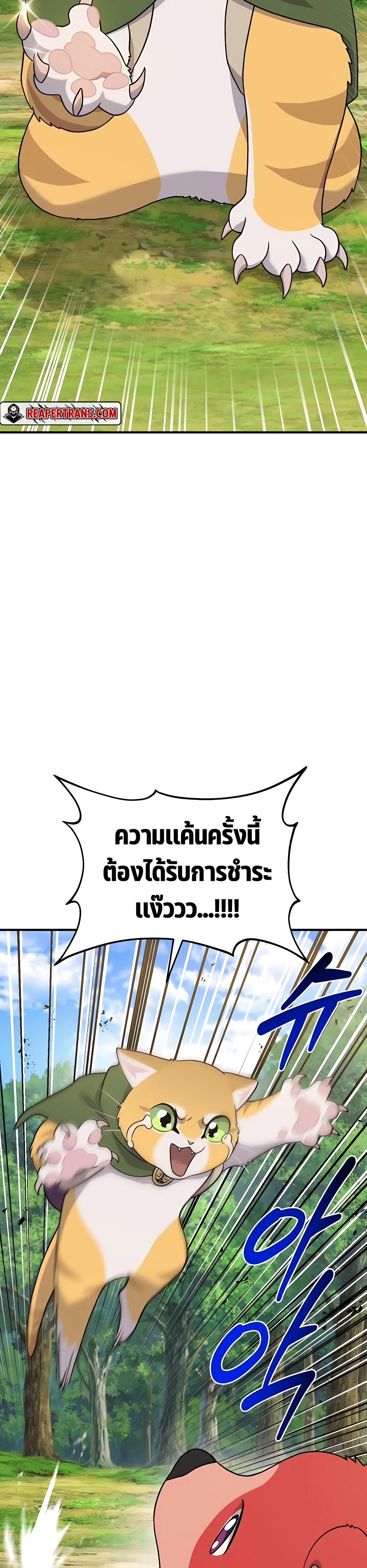 259c8780398bcfb324.jpeg