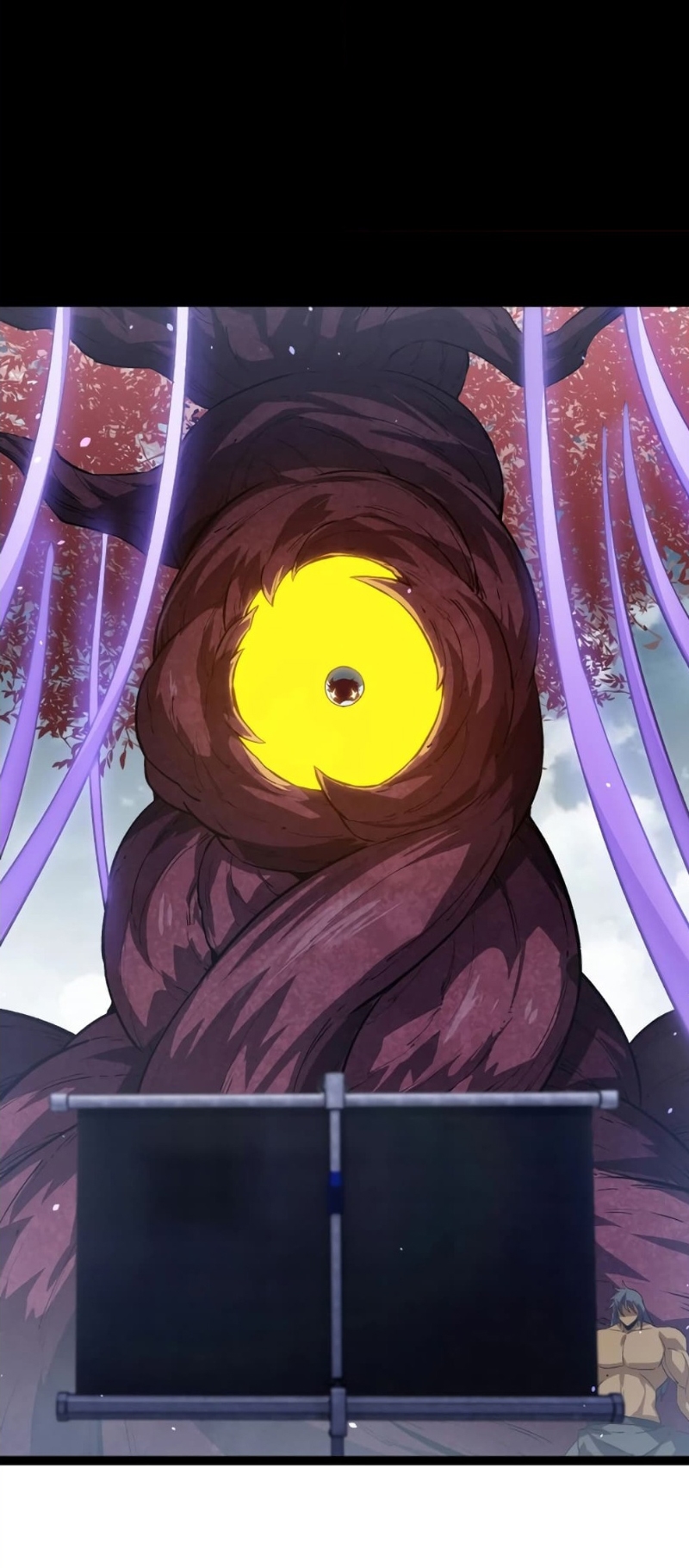 12.jpeg