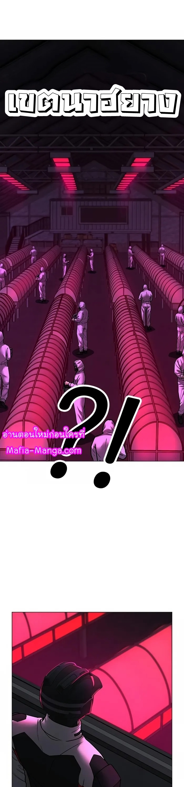 46.jpeg