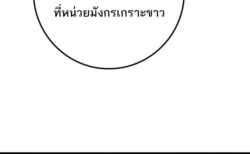 162ddfc5d037edccd09.jpeg
