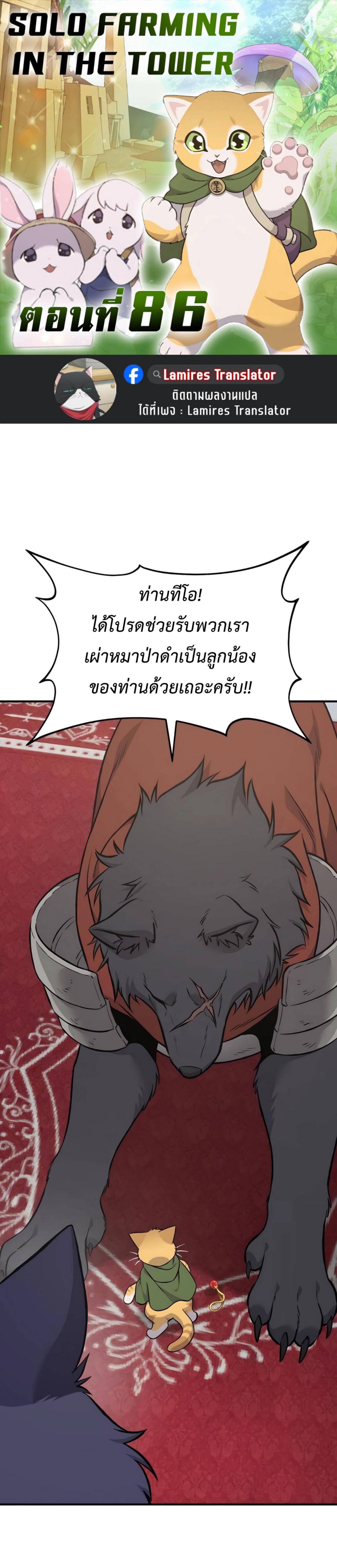 piece_0.png_05387bb463c69c833.jpeg