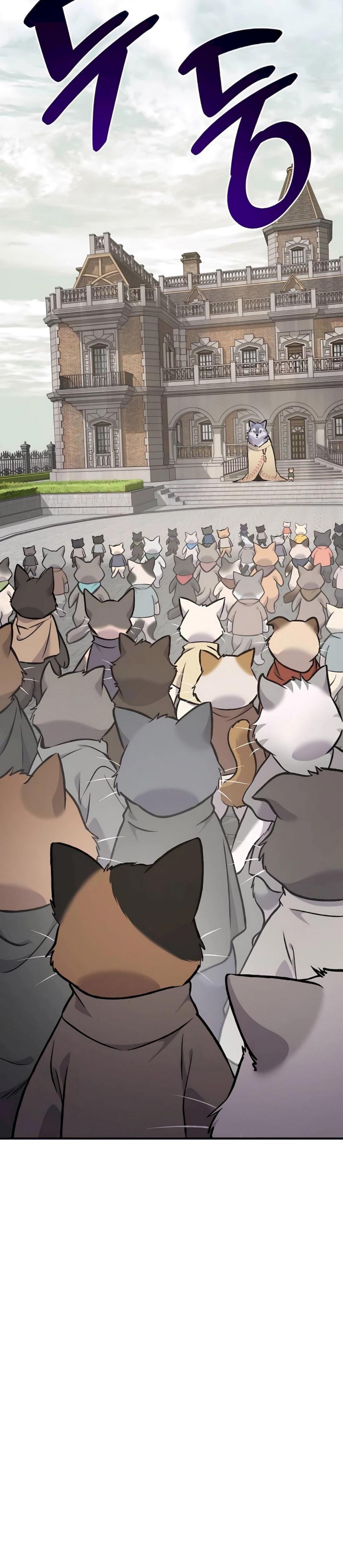 piece_12.png_28bbc39866fc9c662.jpeg