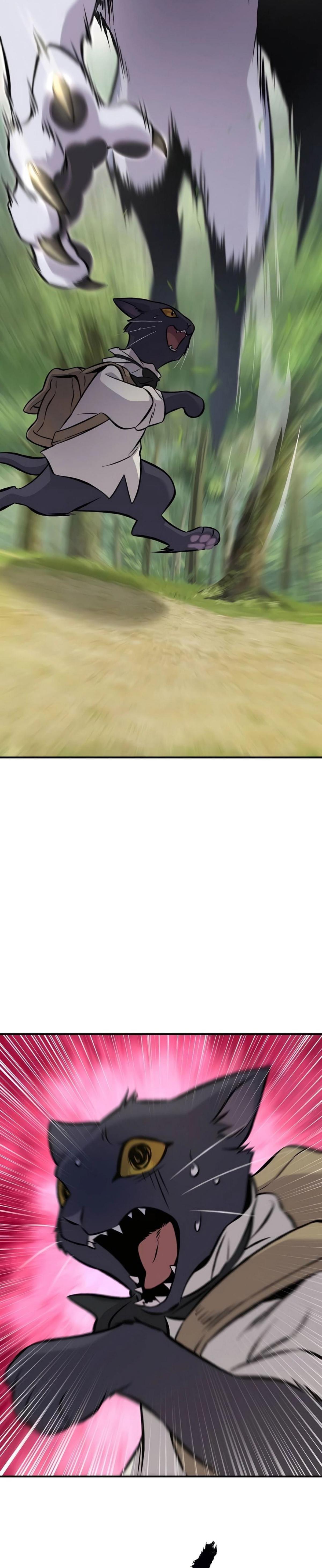piece_16.png_1.jpeg