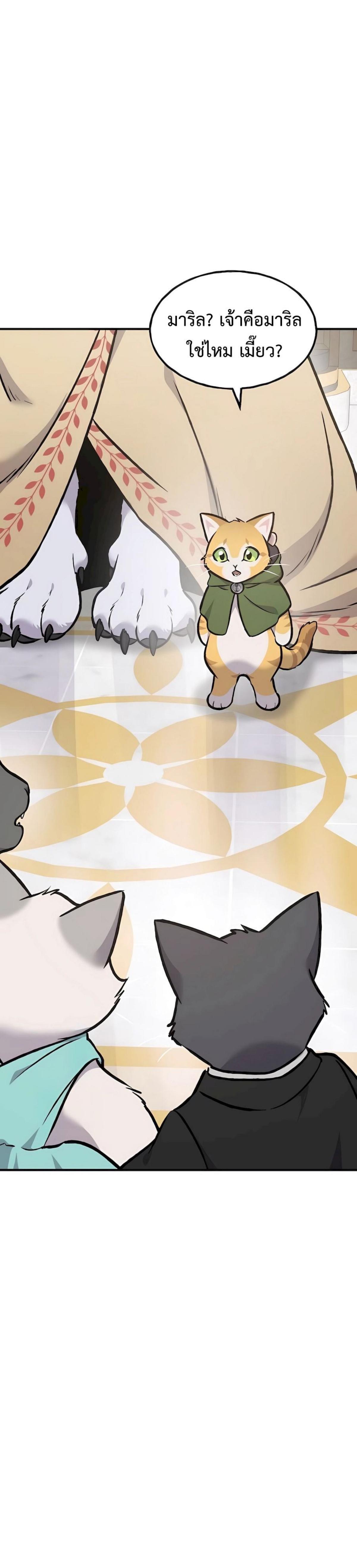 piece_16.png_216d296f38a492318.jpeg