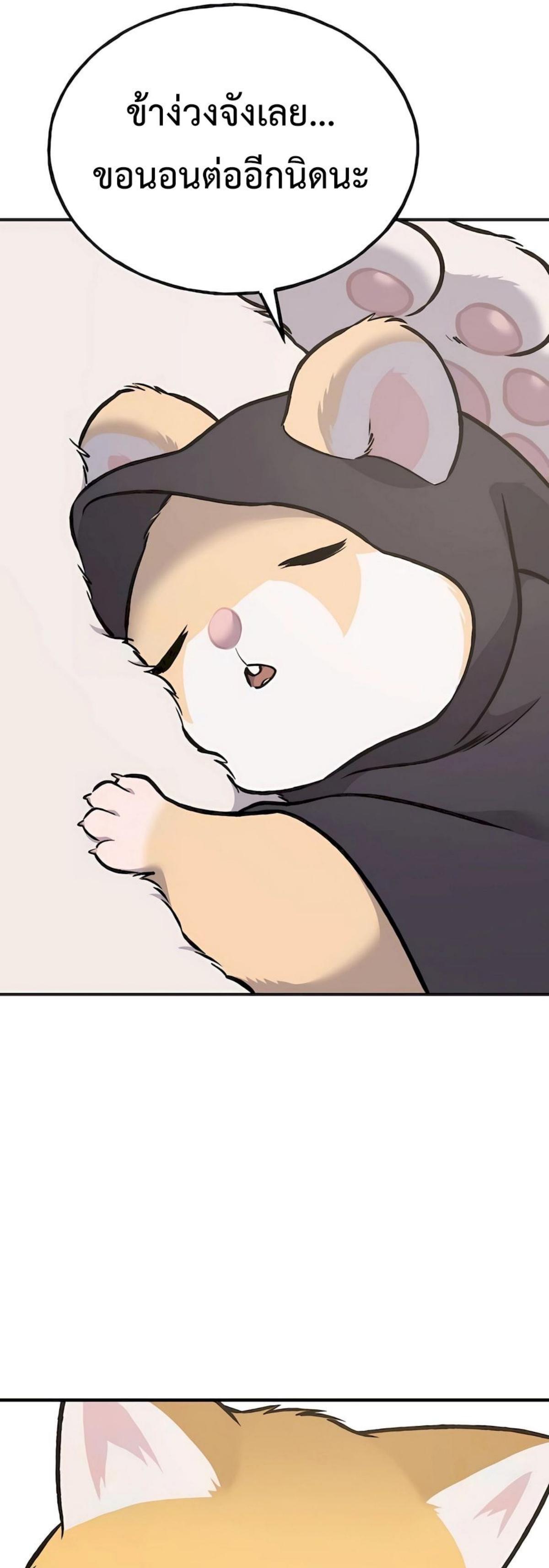 piece_23.png_0.jpeg
