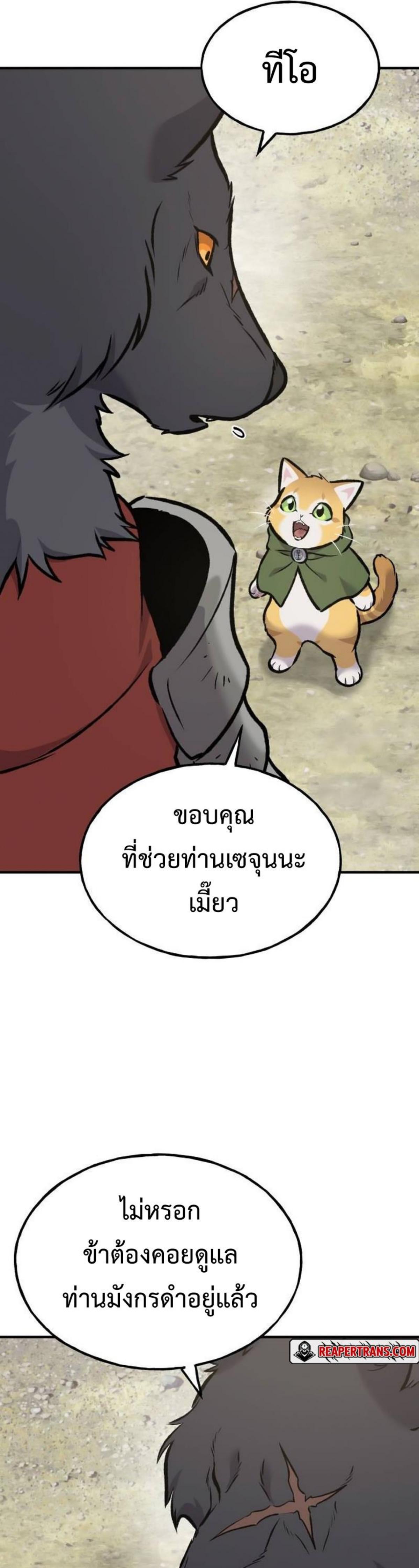 piece_23.png_0ae54926c1839b15e.jpeg