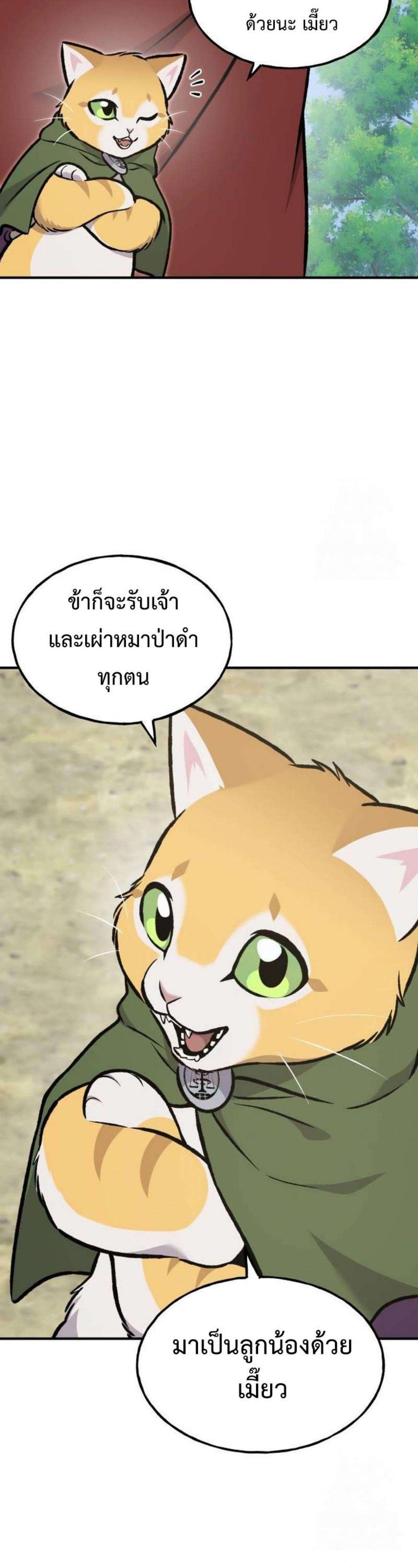 piece_23.png_217ff0f98ad186734.jpeg