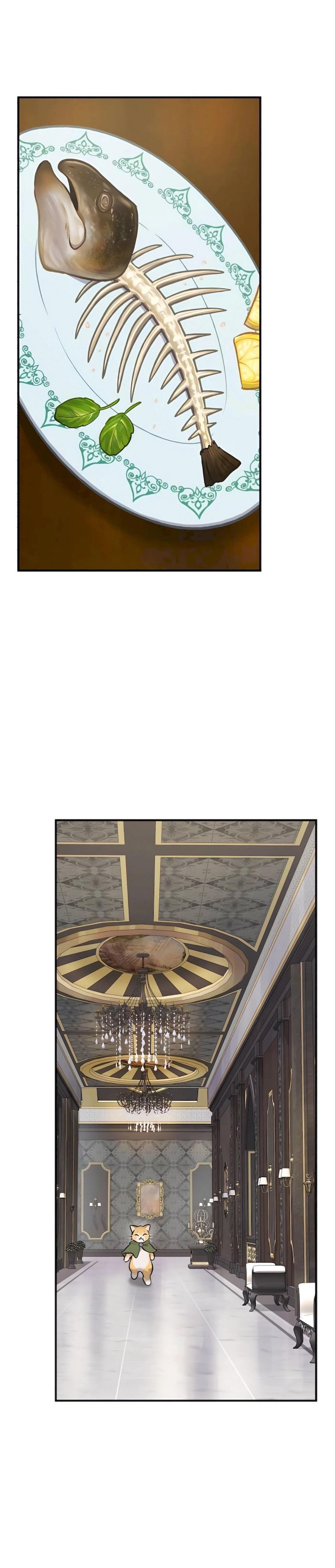 piece_7.png_27148da25e62880c9.jpeg