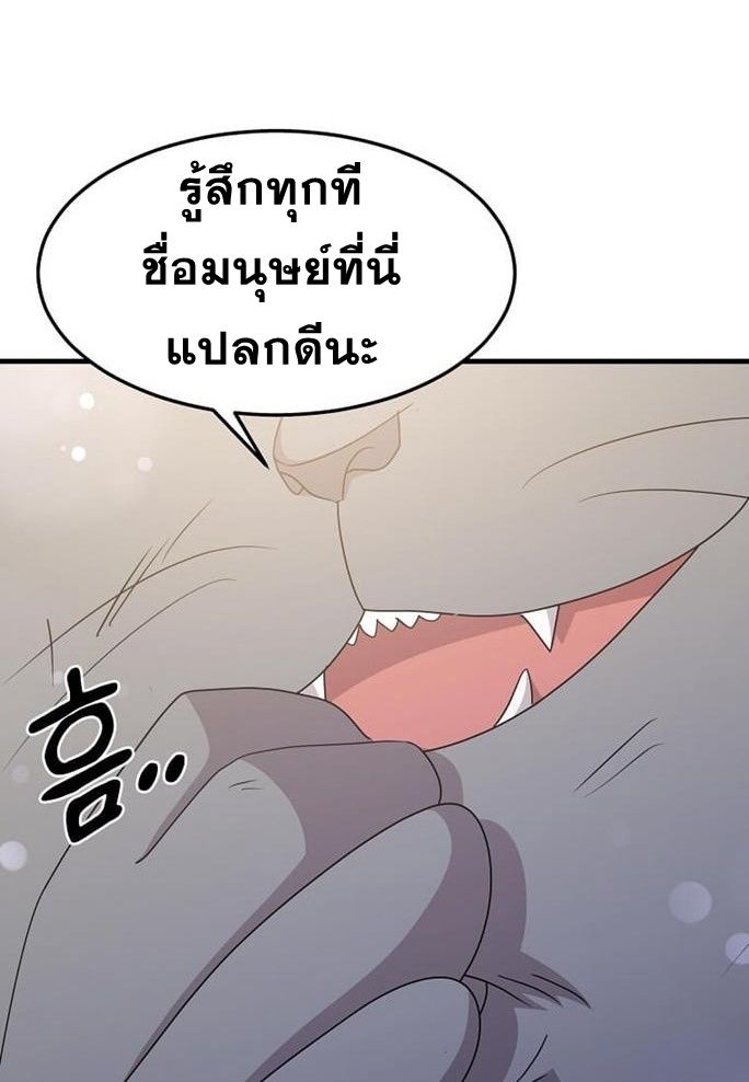 84070c6ad2cfa47075.jpeg