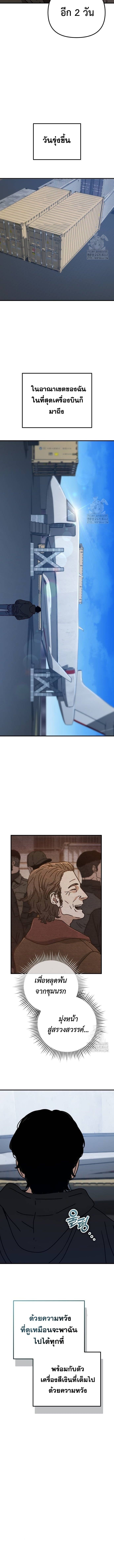 163fec385750f67909.jpeg