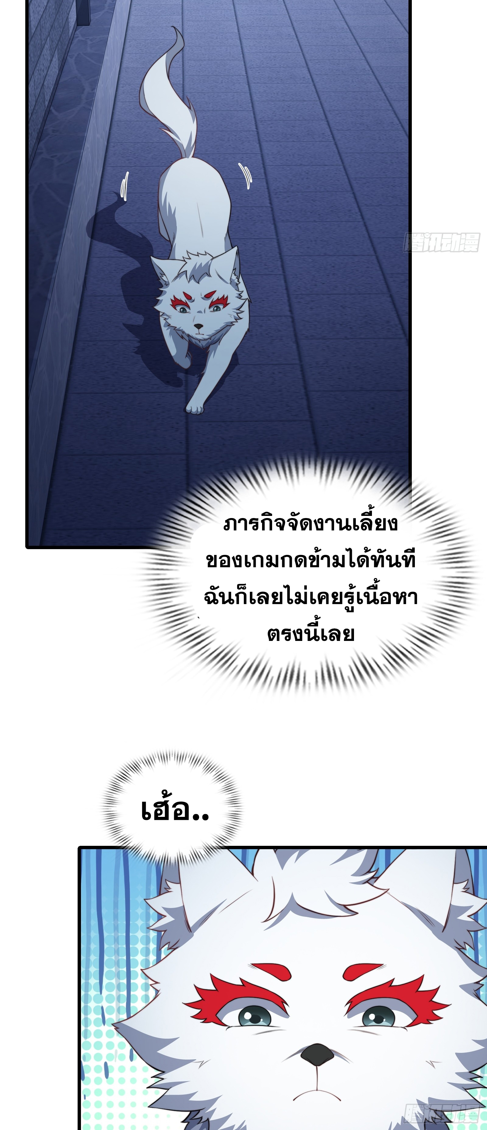 37a5d3cd54d7ca8b8a.jpeg