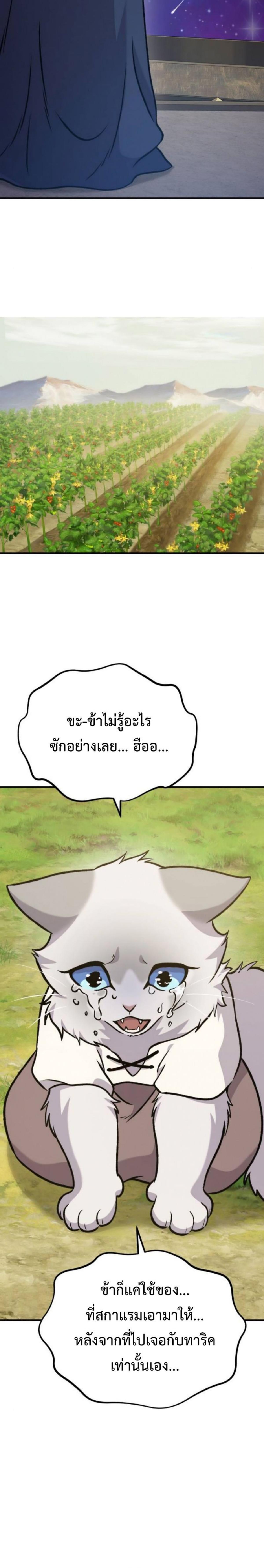 piece_18.png_1d78c9cc569622555.jpeg