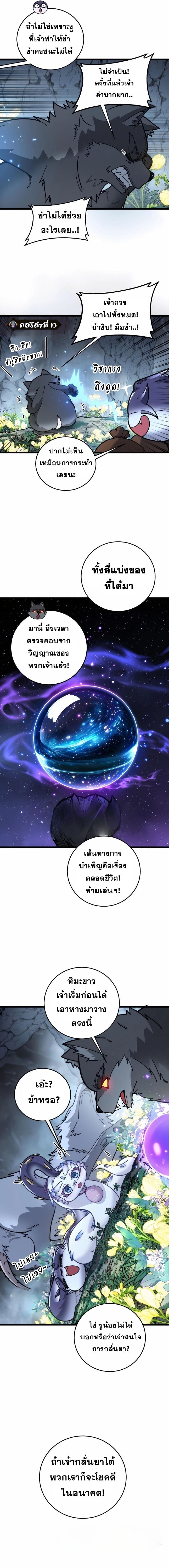 147bb40961a1b29a39.jpeg