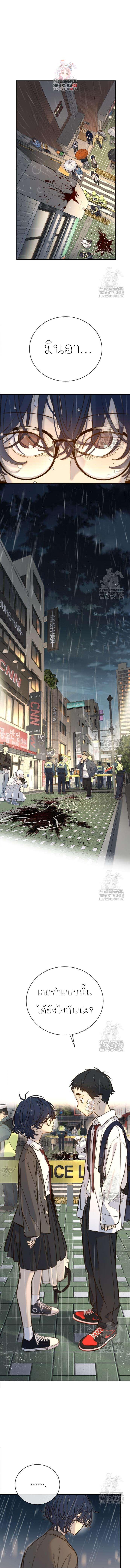 piece_1.jpg_01aeed099c2dda7f3.jpeg