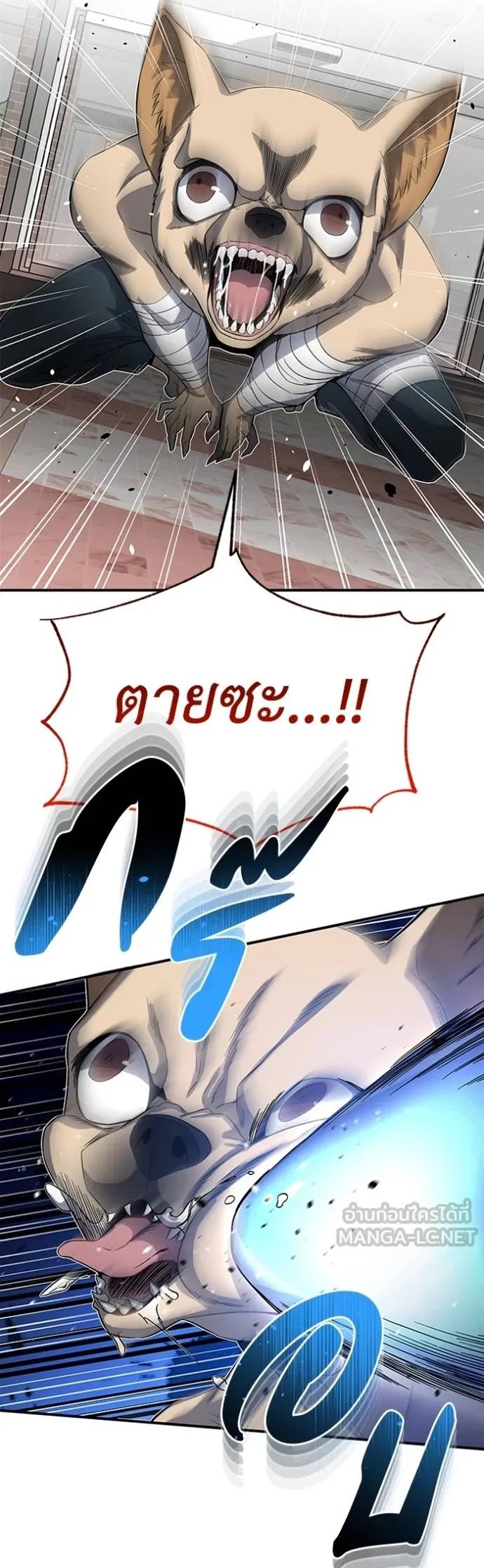 1668manga.com อ่านมังงะตอนใหม่